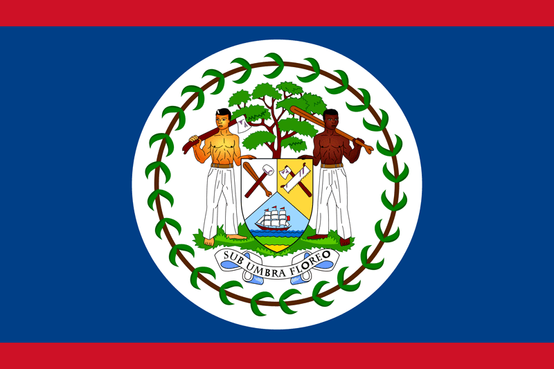 flag-800
